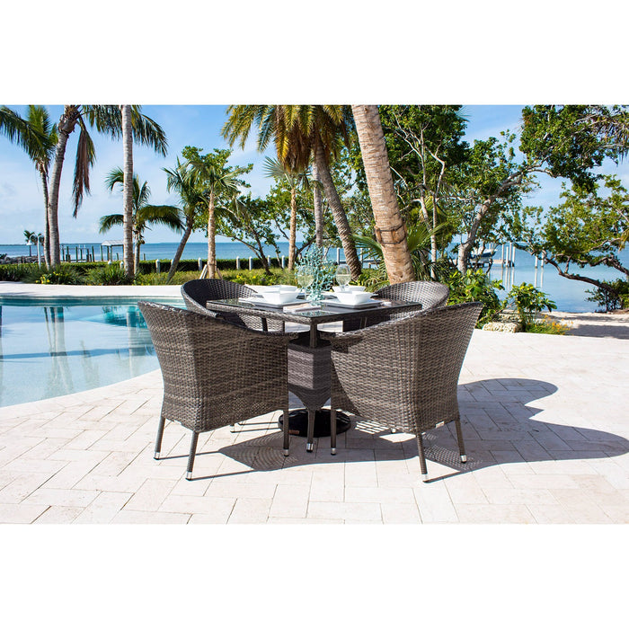 Spectrum 5-Piece Woven Armchair Dining Set with Cushions
