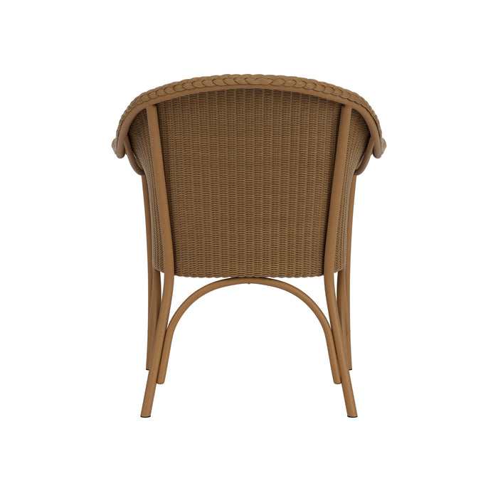 Lloyd Flanders All Seasons Lounge Chair, back view