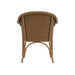 Lloyd Flanders All Seasons Lounge Chair, back view
