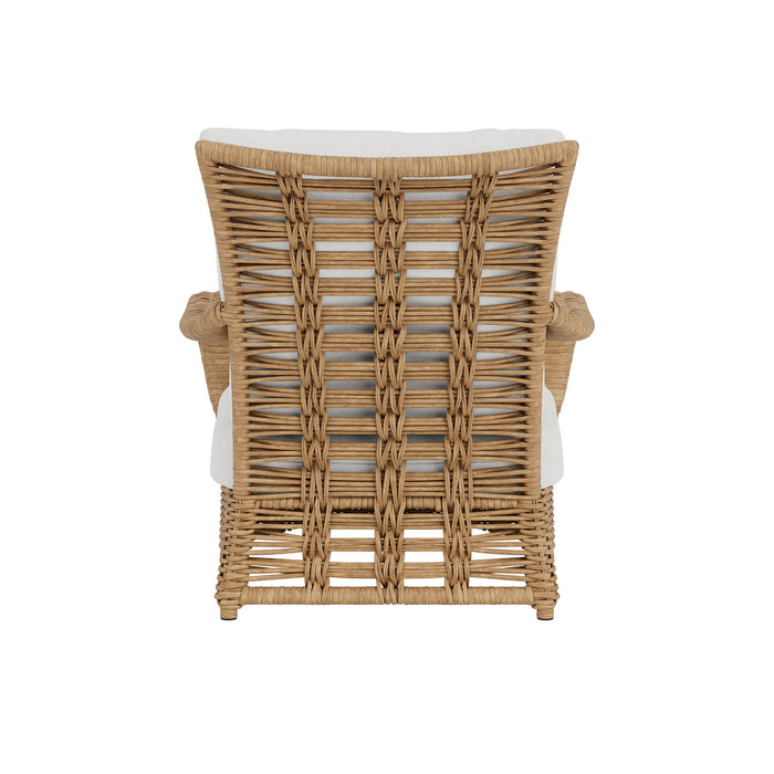 Lloyd Flanders Magnolia Lounge Chair, back view