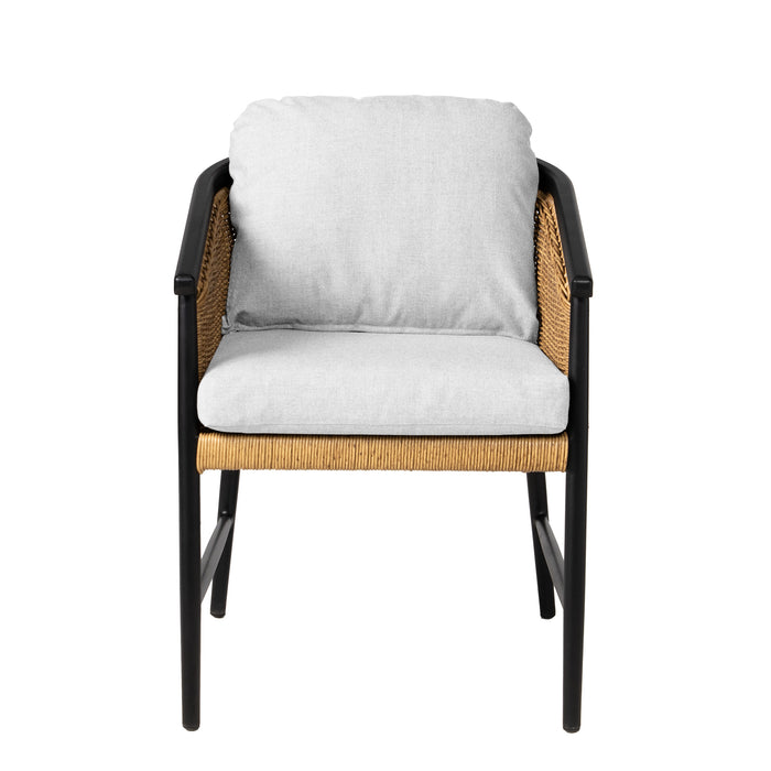 Lloyd Flanders Galloway Dining Armchair