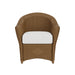 Lloyd Flanders Reflections Dining Armchair, front view