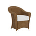 Lloyd Flanders Reflections Dining Armchair (included, x8)