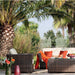 Samoa Sofa with Cushions in a Pelican Reef Samoa collection setting
