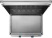 Griddle surface and lid, top view