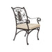 San Cristobal Dining Arm Chair