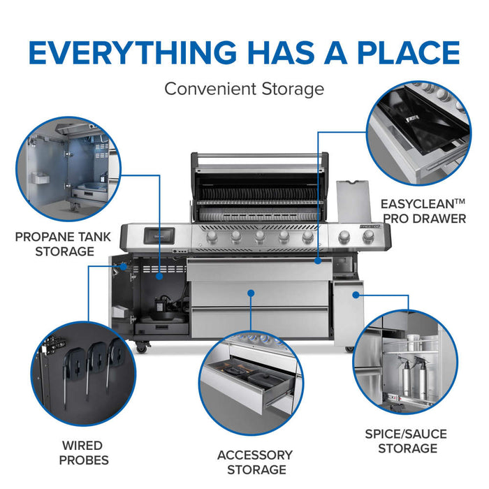 Everything has a place: propane tank, probe, accessory and spice storage