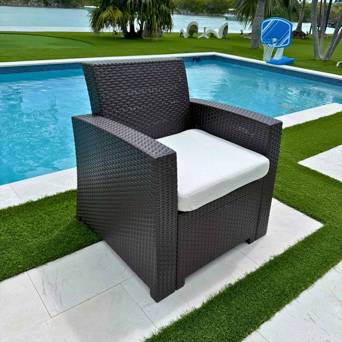 Plastique Lounge Chair