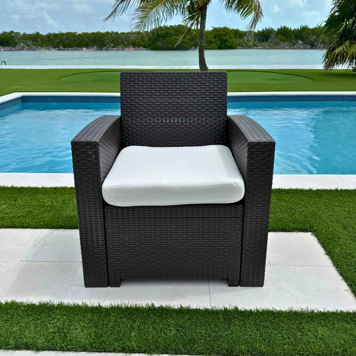 Plastique Lounge Chair