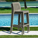 Rainbow Outdoor Lisa Set of 2 Barstools - Cappuccino