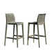 Rainbow Outdoor Lisa Set of 2 Barstools - Cappuccino