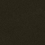 Aztec Bronze finish
