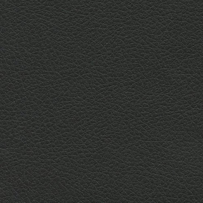 Black Onyx