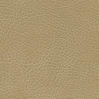 Buckskin