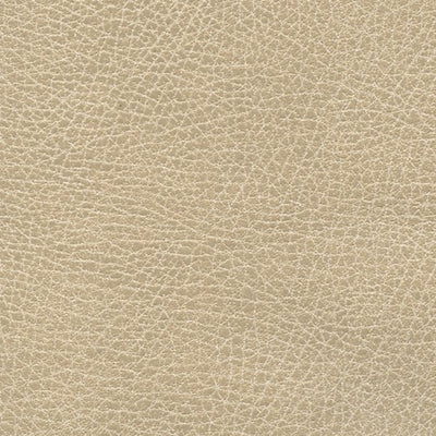 Chamois