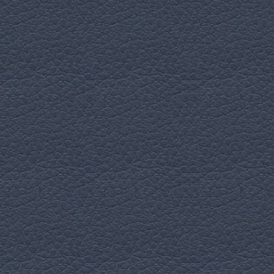 Michigan Blue