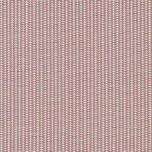 Rose, grade A