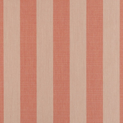 Expressive Blush