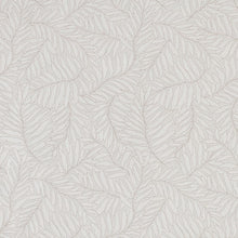 Lively Parchment, grade B
