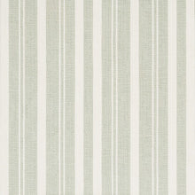 Tranquil Sage, grade B