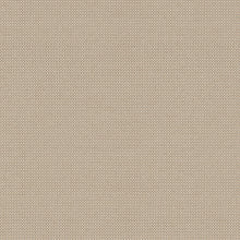 Michelangelo Mocha, grade E