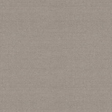 Michelangelo Silver Beige, grade D