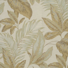 Botanic Willow, grade D