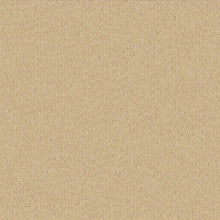 Coastline Amber, grade B