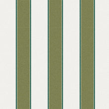 Painter Grass, grade B