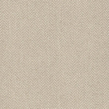 Hayden Taupe, grade A