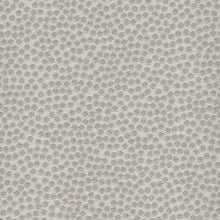 Kit Cat Light Gray, grade B