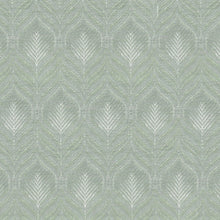 Maranta Sage, grade C