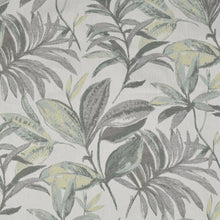 Calidora Mist, grade D