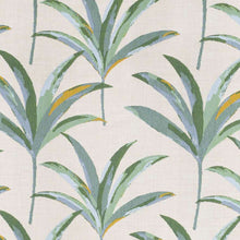 Martinique Tropic, grade D