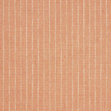 Trail Blush, grade A