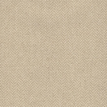 Hayden Taupe, grade AA