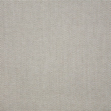 Sailing Seagull, grade C