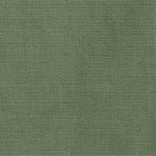 Bliss Aloe, grade A