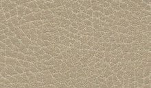 Brisa Chamois, grade F