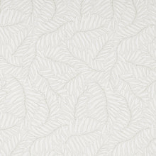 Lively Sage, grade B