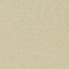 Mainstreet Putty, grade D