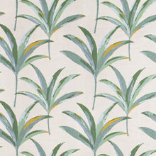 Martinique Tropic, grade D