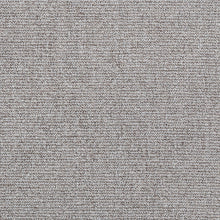 Kismet Wren, grade B