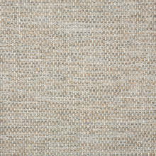 Mainstreet Dove, grade D