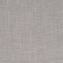 Sand Dollar, grade B