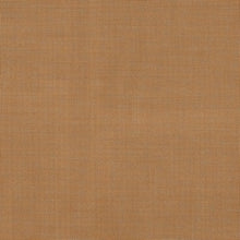 Hazelnut, grade B