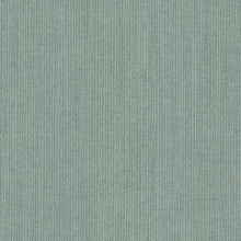 Spectrum Dove, grade A