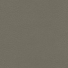 Brisa Frontier Greige, grade E