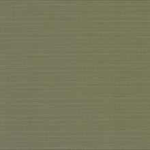 Bayou Whispers, grade B