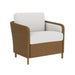 Visions Lounge Chair (included)